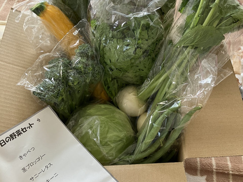 新品 大人気商品  新鮮！旬の野菜セット【SSサイズ：約1.5kg】【7品目】農薬・化学 野菜