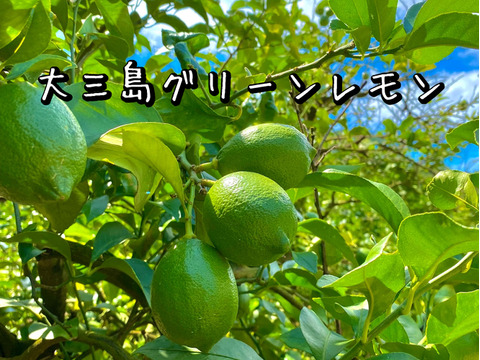 香り抜群！大三島グリーンレモン！ 2キロ【皮ごと食べられるワックス・防腐剤フリー☆】瀬戸内レモン