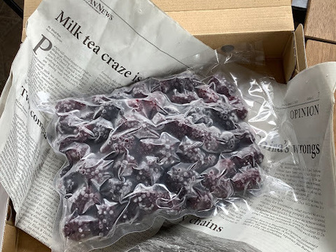 【ジャム作りに最適！】冷凍ブラックベリーお値打ち加工用（500g）