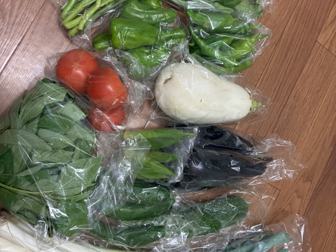 旬の露地野菜セット(9～10品)