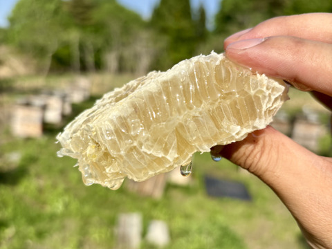 国産生はちみつ食べ比べセット/袋付き