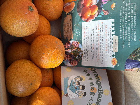 【ミニ！まどんな！】まどんな　3kg ※小玉サイズ （ご家庭用）【冬ギフト】