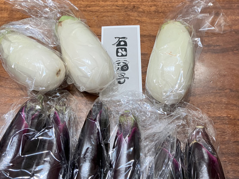 石田茄子 白茄子 食べ比べセット