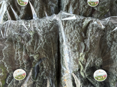 【訳あり品】カーボロネロ 約1kg