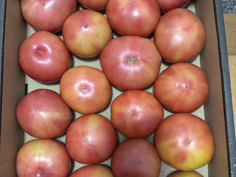 お買得！！訳ありトマト（約3.5〜4K） ×2箱