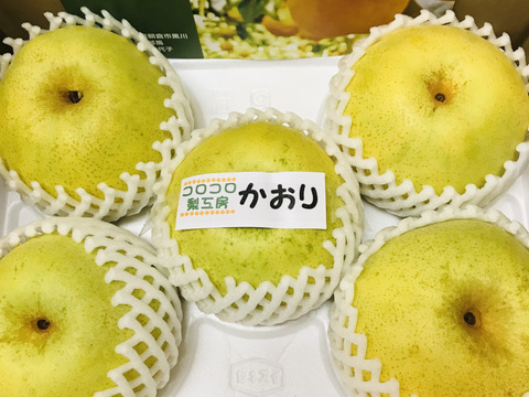 ラスト1ケース‼️【幻の梨⁉️】かおり贈答用約2.2kg(大玉2-4個入)✨️メロンのような甘い香りでとってもフルーティー✨シャキシャキでキメ細か✨️豊水にも負けない果汁量💦