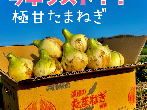 ちょっと訳あり品【極甘】『すごくあま〜い』あま〜くて水々しい淡路島産新玉ねぎ　5kg