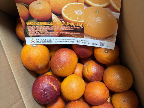 訳ありブラッドオレンジ5㎏