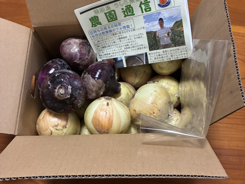 【赤玉ねぎ5玉入り】料理の彩りのために！淡路島の玉ねぎ！5ｋｇ【ひょうご安心ブランド認証】