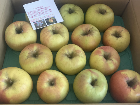 「ぐんま名月」甘くてジューシーな黄色い林檎　 訳ありたくさん食べたい5キロ　ご家庭専用ス5キロコース（14から20個入）