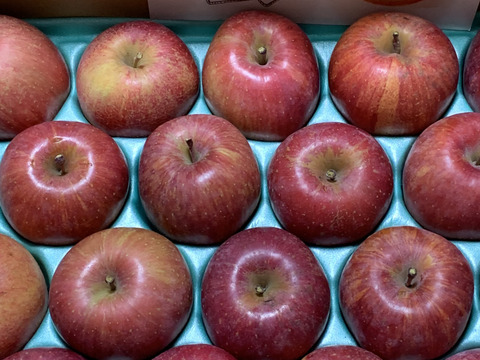 【小玉りんご】完熟サンふじ🍎18〜22玉１日１個まるかじり