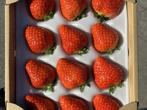 予約販売「高原の魔女」350g×2p