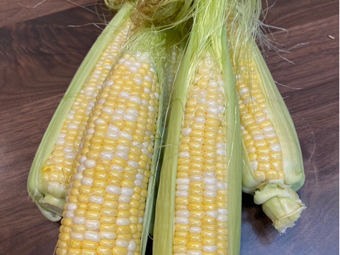 佐藤さんのトウモロコシ(*´-`)