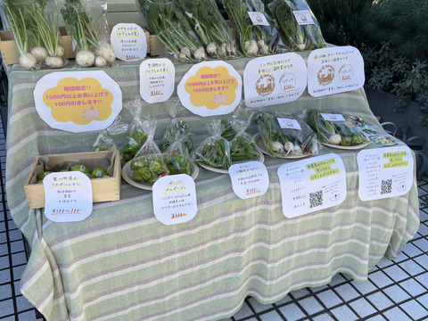 【東京  自由ヶ丘で販売】塩とお酢  オリーブオイルだけで美味しい健康サラダセット  2袋