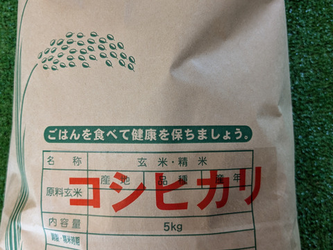 【新米】【令和7年産】コシヒカリ5ｋｇ×2