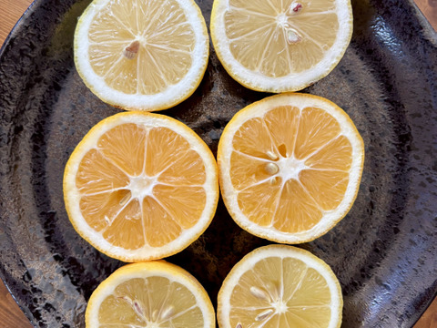 【数量限定・訳ありでお得】
マイヤーレモン／ビラフランカ／リスボン
3種おまかせレモンセット