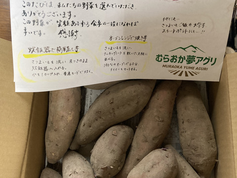 【１人１回だけの特別品】安納芋2ｋｇ(箱入)　10月以降～発送予定！　熟成期間１ヶ月超！　さつまいも！ 栽培期間中農薬不使用！
【敬老の日】