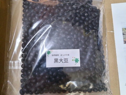 《メール便》ぽっけの黒大豆500㌘【北海道自然栽培】