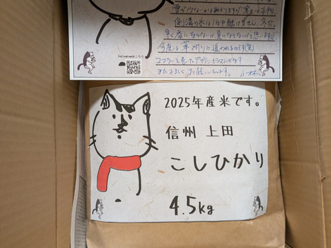 予約‼︎ 25年度産新米!! もっちもち!! 信州上田産コシヒカリ白米4.5kgx2袋.  おむすび　お弁当に!!　25年度産新米!!　令和7年新米 農家直送