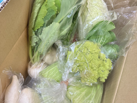 【初回限定BOX】使いやすいお野菜セット※おススメレシピ付き‼