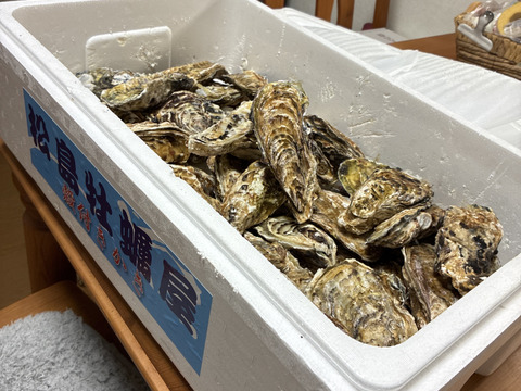【水産庁補助事業 送料無料】🦪 生食用１０ｋｇ（60~160粒） 殻付き 牡蠣 牡蛎 殻付き牡蛎 kaki カキ 松島牡蠣屋 生牡蠣にも、BBQに最適🔥 海産物 オイスター A