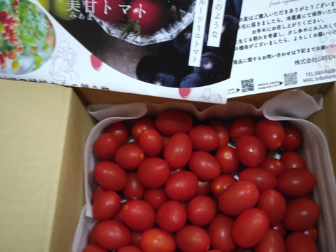 ★野菜ソムリエサミット2025金賞受賞商品★高糖度！【マスカットのようなフルーツトマト】ママ姉妹が作る〝美甘トマト〟　1キロ