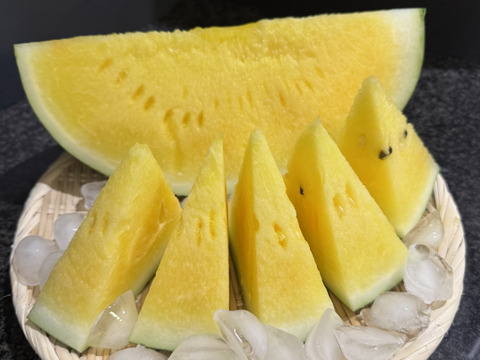 【綺】糖度15-16【サンダーボルト】リジェネレーション『大里果樹園のスイカ』