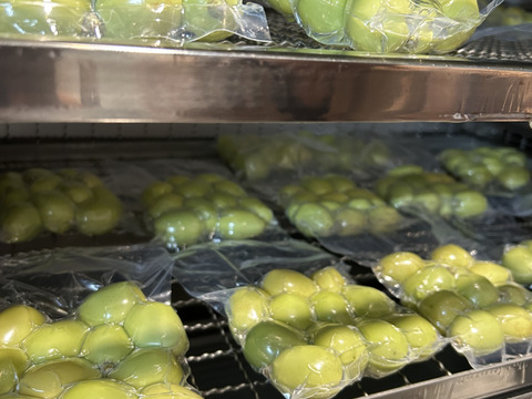 【冷眠】で旬をそのままに！
晴れの国岡山県産
冷凍ぶどう詰め合わせ150g×4p