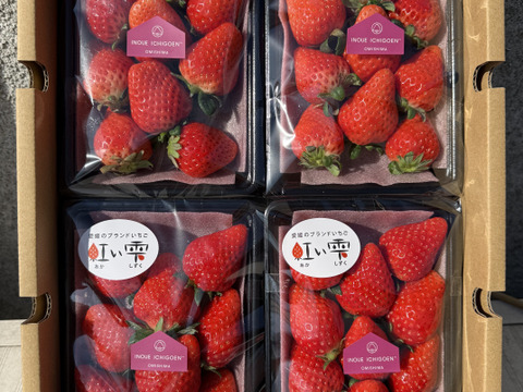 【食べ比べ】えひめのブランドいちご『あまおとめ』vs『紅い雫』。どっちも食べたい！にこにこセット。