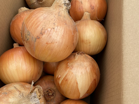 【北海道産】たまねぎ5キロ入