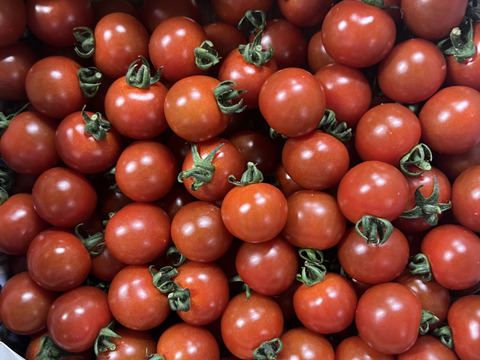 『ミニトマト2kg箱』『ピカピカ』新鮮＋ちょうどいい酸味　美味しい満足‼️トマト🍅〜
