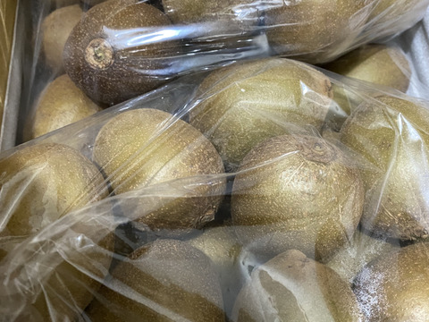 ゴールドキウイふる～つ　規格外Ｓサイズ４K【品種・東京ゴールド】）