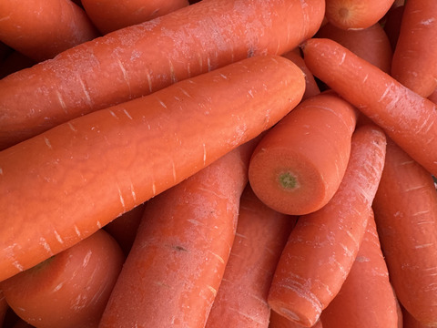 【冬のわけありにんじん】クリスティーヌ「9.0kg」【お買い得にんじん】