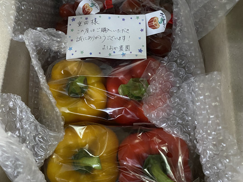 【熊本県産完熟】パプリカ赤黄色、ミニトマト2品種詰め合わせ！（1ｋｇ）『パプリカ多め』