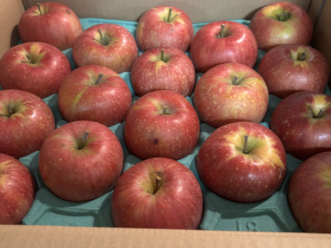 残り30ケース🍎【シナノシリーズ一番人気】シナノスイート5キロ箱 訳あり品 甘くてシャキシャキ ID12292 長野県 信州 安曇野 リンゴ 幻 幻のリンゴ 予約 希少 旬 甘い