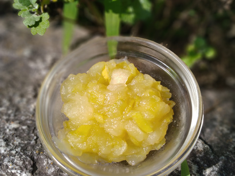 【２箱限定】クッキングアップル「ブラムリー」超貴重な超低農薬りんご！！（2㎏）