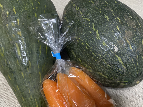 ねっとり甘い、万次郎かぼちゃ【2〜3玉】4.5キロ程度