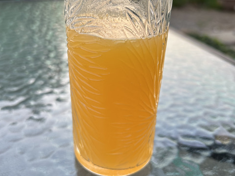 ちょっとワケ有り(一番見栄えの悪い八朔の写真を載せています)、でも子供も喜ぶ大人の味！和歌山の八朔Ｌ&M混載15kg