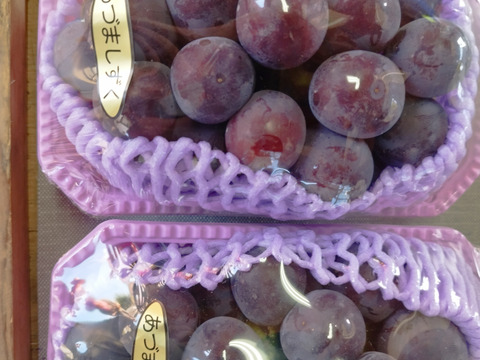 あずましずく　２房　1kg