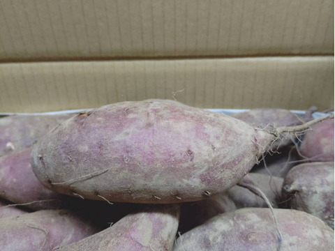 ねっとり極甘さつまいも！熟成紅はるか約5kg（S~2Lサイズ不揃い詰め合わせ）