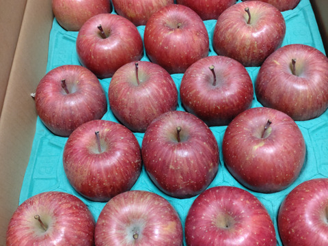 ☆☆☆数量限定再販☆☆☆
溢れる果汁♪『 樹上完熟サンふじ』　 約５kg１４～２０個