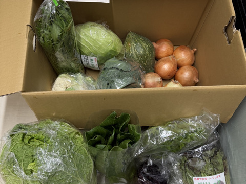 淡路島からの野菜6種❣️お任せ大容量セット(^-^)v❣️野菜セット