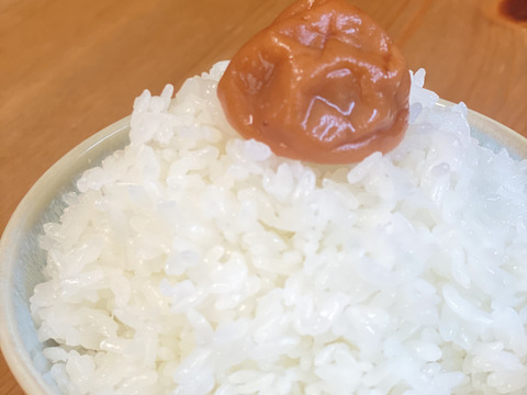【令和4年度米】淡路島産　お米　ヒノヒカリ　（精米5キロ）