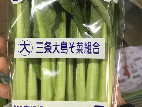 寒締め小松菜　6袋
