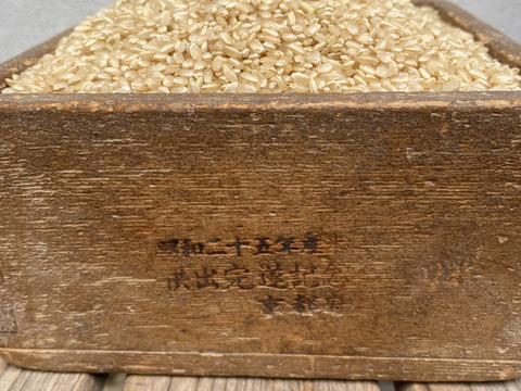 令和７年産山城産米　ヒノヒカリ　玄米　　１０kg