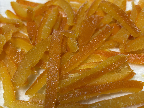 夏みかん　「昔ながらの爽やかで酸っぱい柑橘」5kg