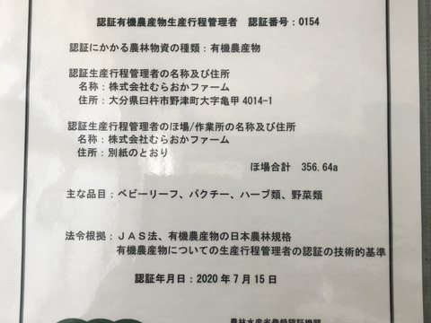 有機JAS認定お野菜セット11品目12～1月限定