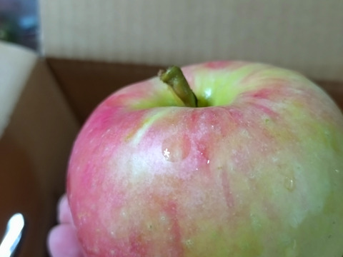 秋の色々なりんごを混ぜます！家庭用です😄
ジャムにも最適！