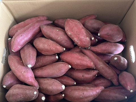 令和7年産定温貯蔵で熟成しました!!　甘くてしっとり♡　阿蘇小国のシルクスイート（8kg）