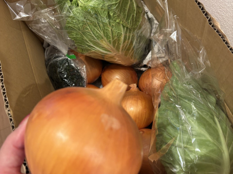 大好評，地層が違う淡路島、大玉ターザン(風袋込み４キロ)